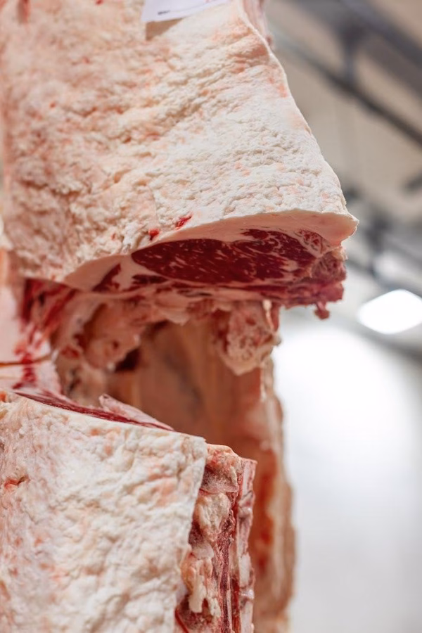 Whole Cow (Fullblood) - Image 2