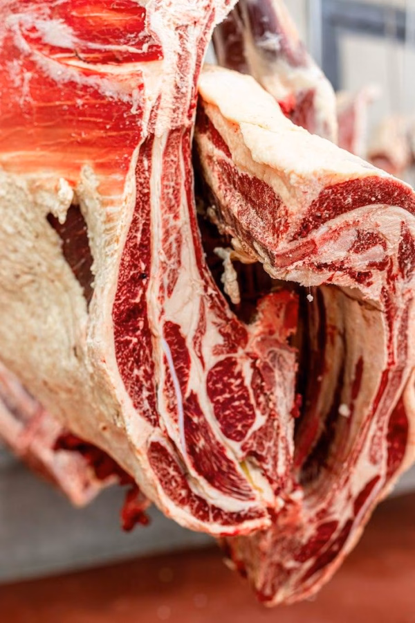 Whole Cow (Fullblood) - Image 3