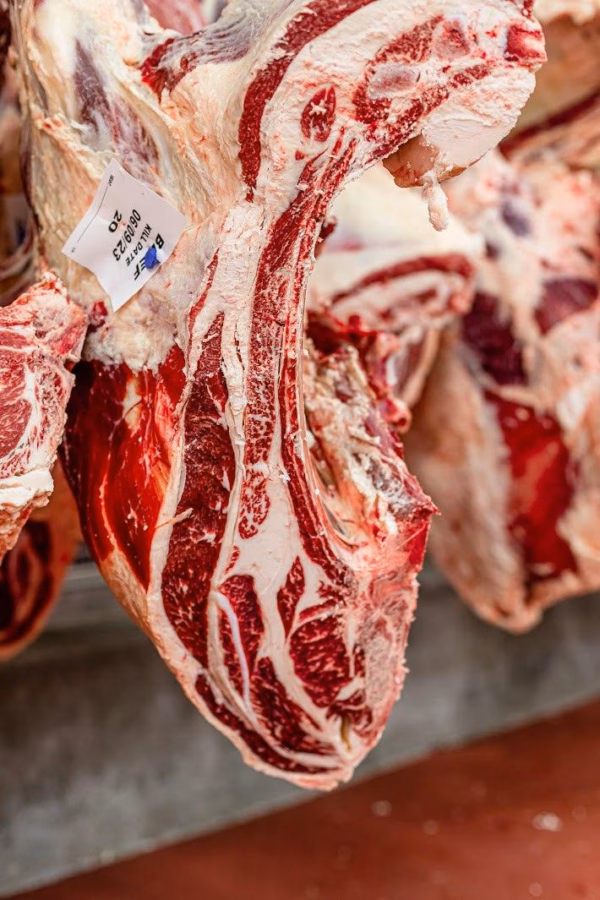 Whole Cow (Fullblood) - Image 4